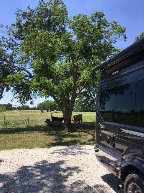 E Double H RV Park at Waco Lake 10