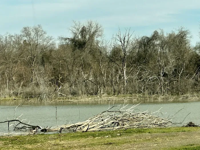 Lake Waco Marina and RV Campground 7
