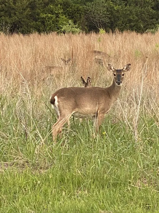 Lake Waco Marina and RV Campground 9