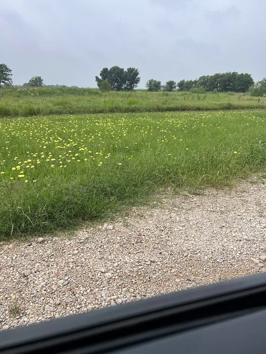Downs Farm RV Park 1