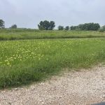 Downs Farm RV Park
