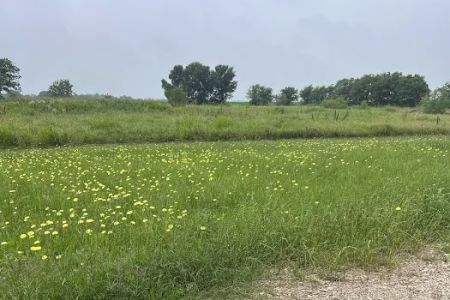 Downs Farm RV Park