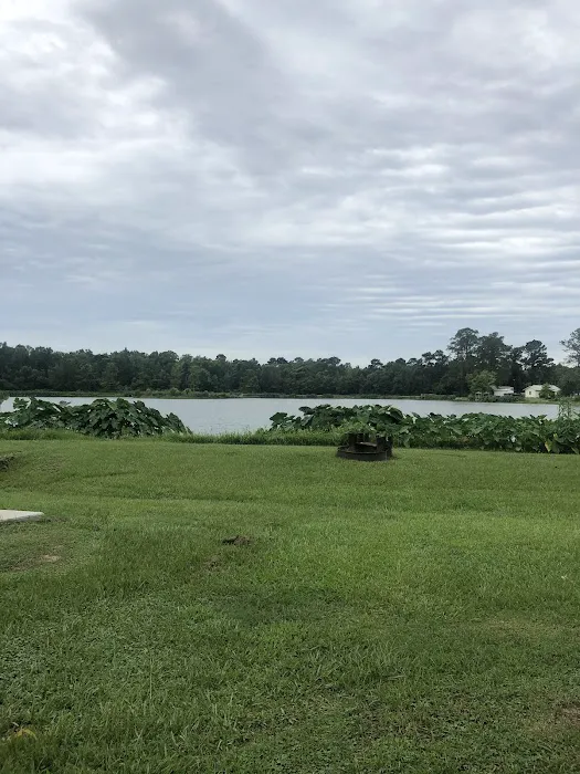 Lakeview Park & Beach 6