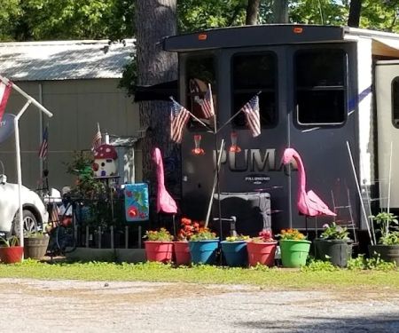 Cajun Campground