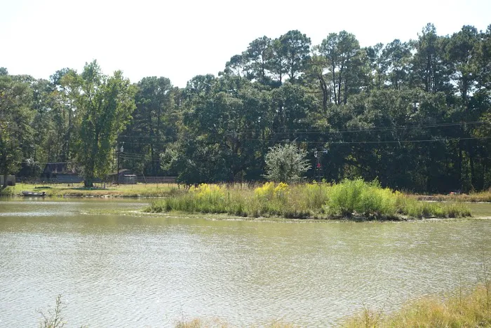 Cajun Campground 2