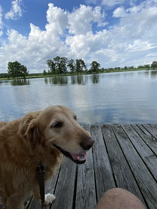 Lake Felix Rv Park 1