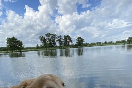 Lake Felix Rv Park