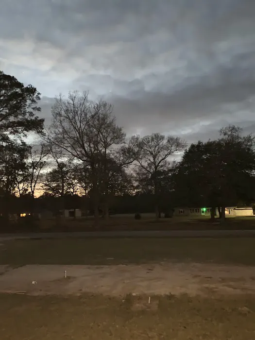 Mobile Park 1