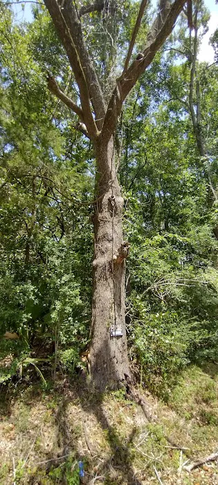Pecanwood Mobile Home Park 1