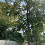 Goose Creek RV Park