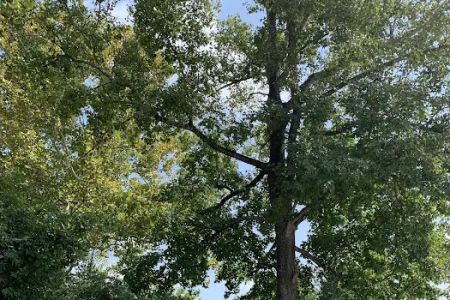 Goose Creek RV Park