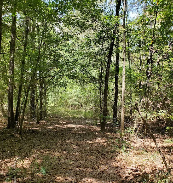Camp Krenari 3