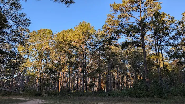 Shell Oil Road Hunter Camp 1