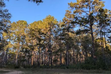 Shell Oil Road Hunter Camp
