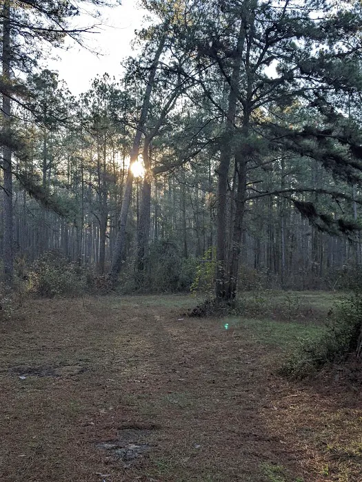 Shell Oil Road Hunter Camp 3