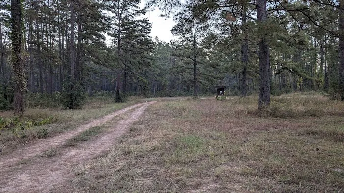 Shell Oil Road Hunter Camp 7
