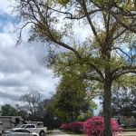 Texas Twelve RV Park