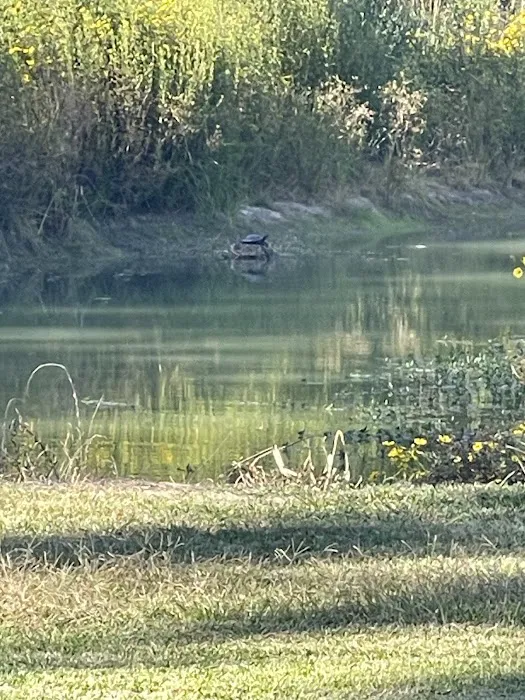 Texas Twelve RV Park 5