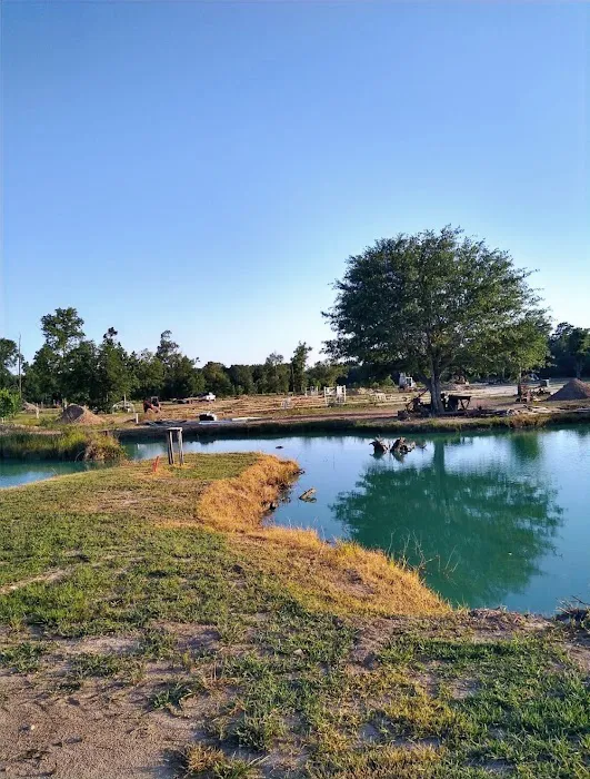 I-10 Orange RV Park 6