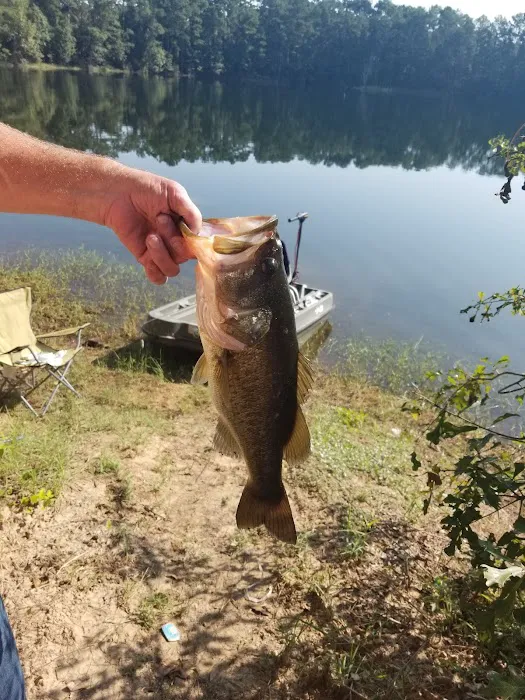 Smith Lake RV Park 9