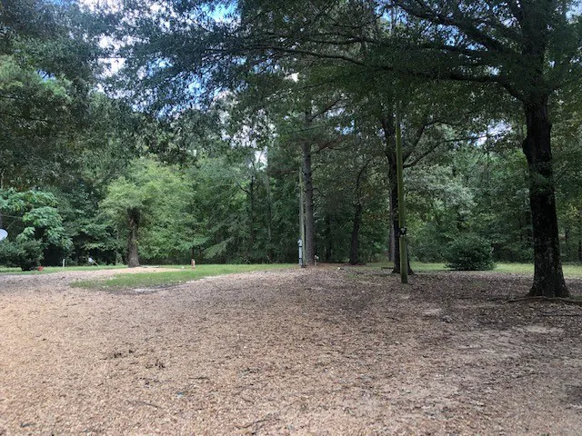 Oak Grove Trailer Court, Star City, AR. 71667 2