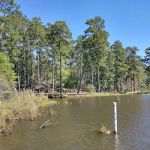 Clear Springs Campground
