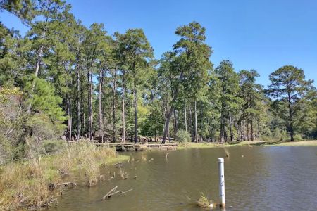Clear Springs Campground