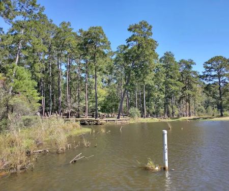 Clear Springs Campground