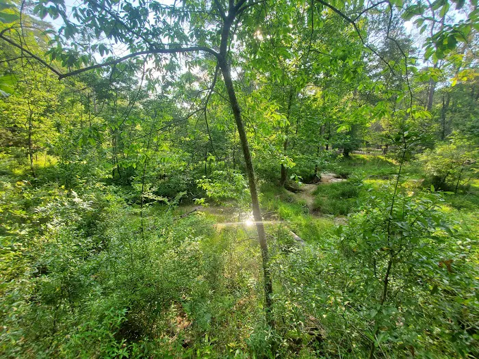 Clear Springs Campground 7