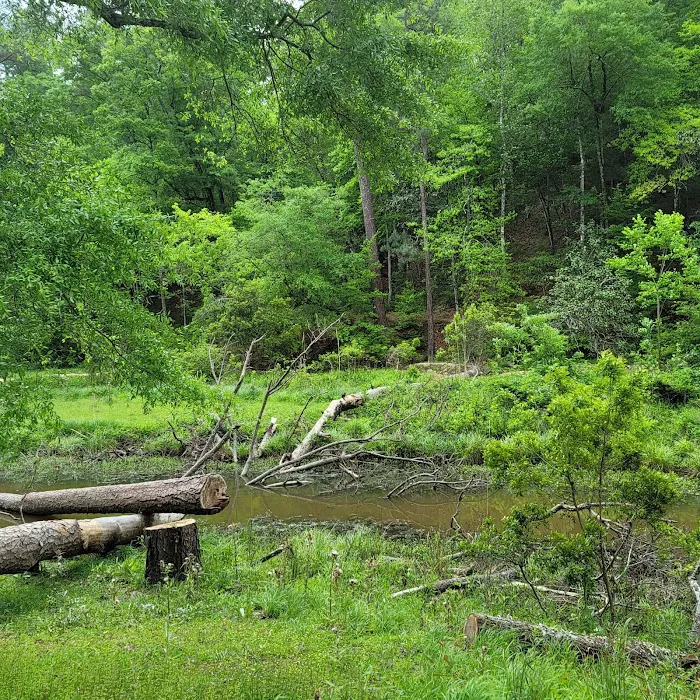 Clear Springs Campground 6