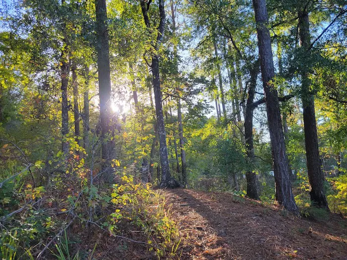 Clear Springs Campground 9