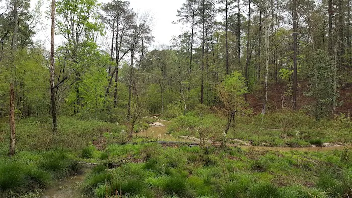 Clear Springs Campground 8