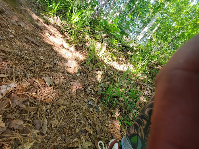 Clear Springs Campground 10