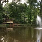 Peaceful Pines RV Park & Campground