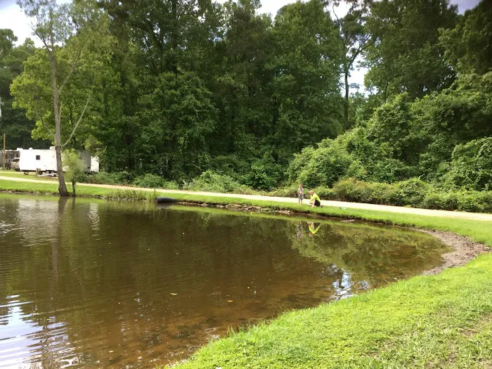 Peaceful Pines RV Park & Campground 6