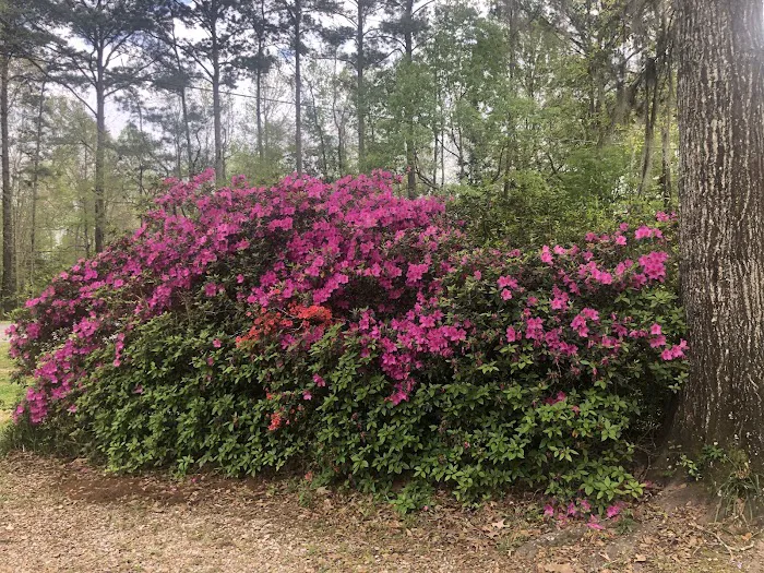 Peaceful Pines RV Park & Campground 9