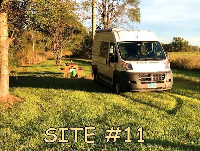 Black River Campsite 2