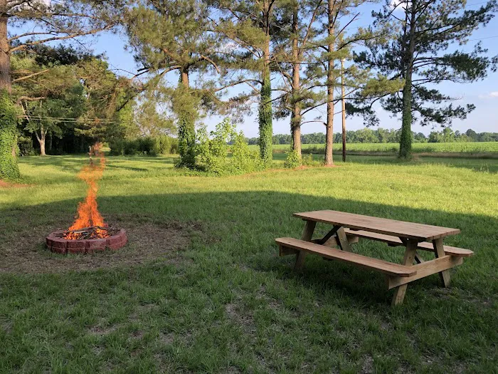 Black River Campsite 4