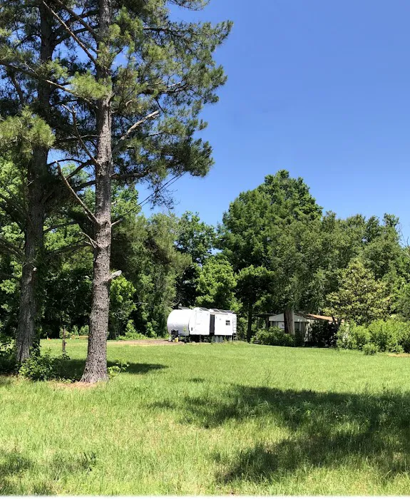 Black River Campsite 6