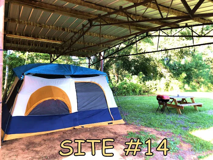 Black River Campsite 8