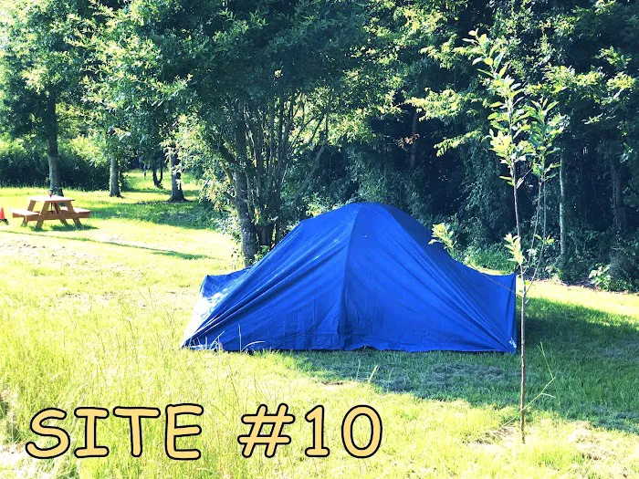 Black River Campsite 7