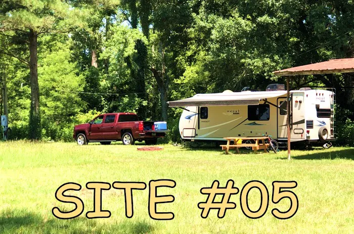 Black River Campsite 10