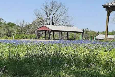 Bovay Scout Ranch - McNair Cub Scout Adventure Camp