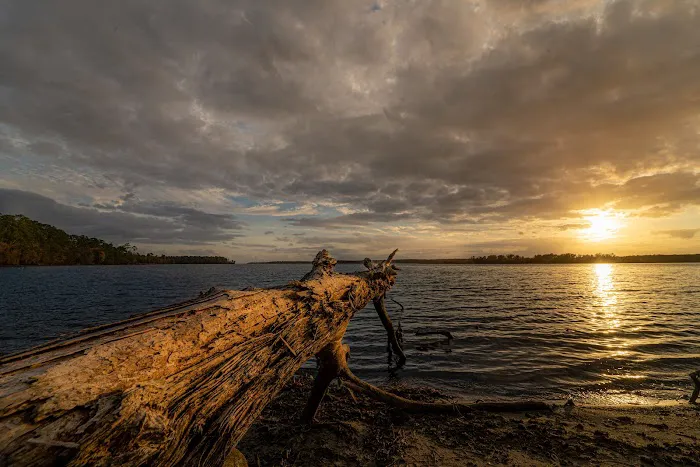 Cagle Recreation Area 1