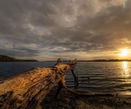 Cagle Recreation Area