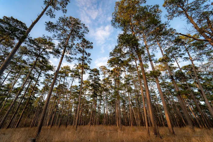 Cagle Recreation Area 8