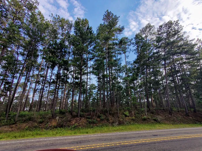 SAM HOUSTON (Houston/Conroe/Huntsville Area) 1