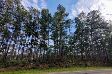 SAM HOUSTON (Houston/Conroe/Huntsville Area)