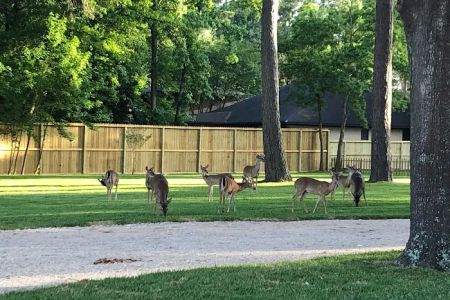 Triple-B RV Park, Lakeside