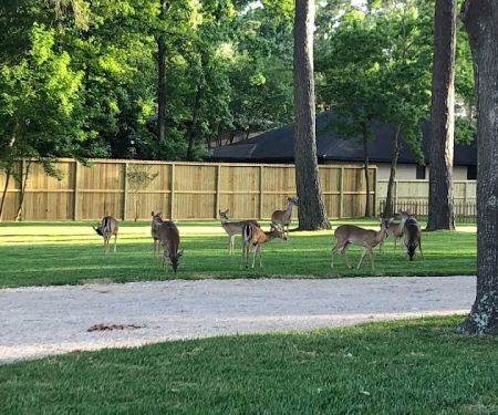 Triple-B RV Park, Lakeside